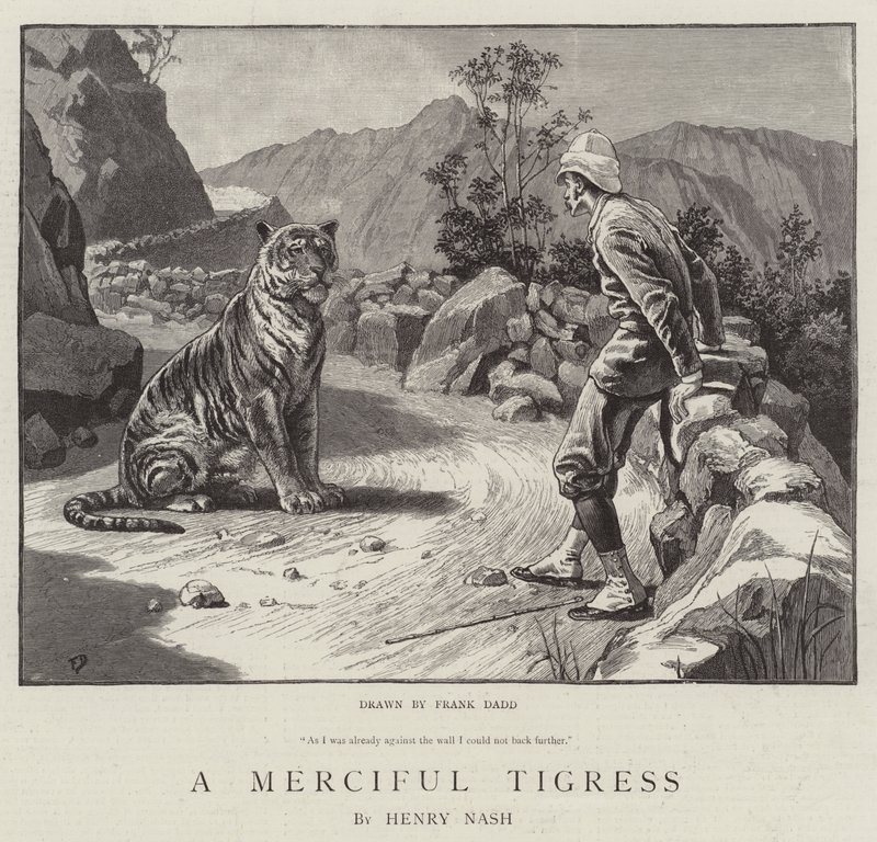 En barmhärtig tigress av Frank Dadd