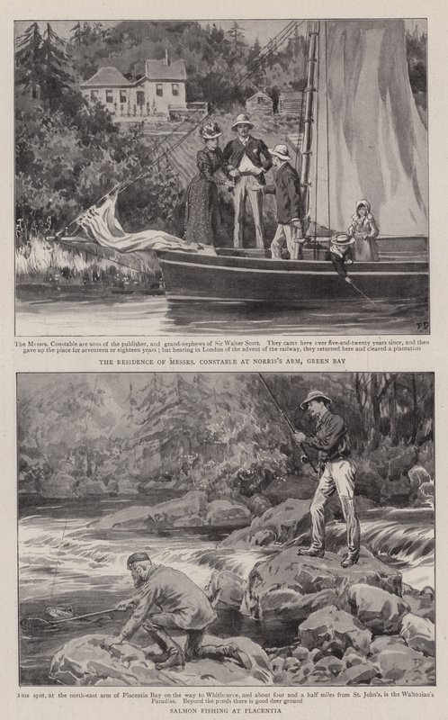 Jordbruk och idrott i Newfoundland av Frank Dadd
