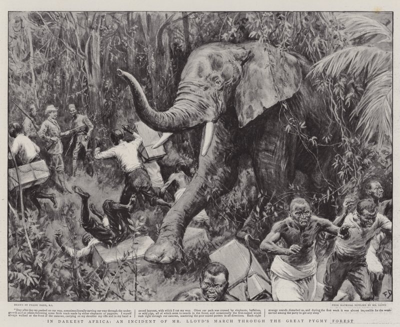 I mörkaste Afrika, en incident av Mr Lloyds mars genom den stora pygméskogen av Frank Dadd