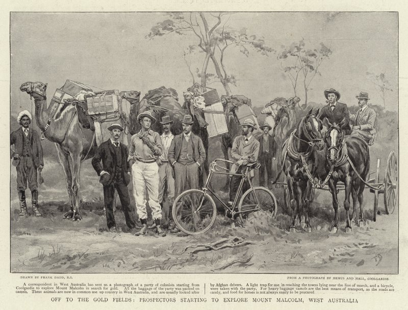 Iväg till guldfälten börjar prospektörer utforska Mount Malcolm, västra Australien av Frank Dadd