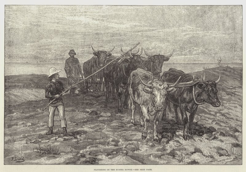 Plöjer på Sussex Downs av Frank Dadd