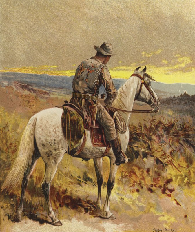 En scout - Nordamerika av Frank Feller