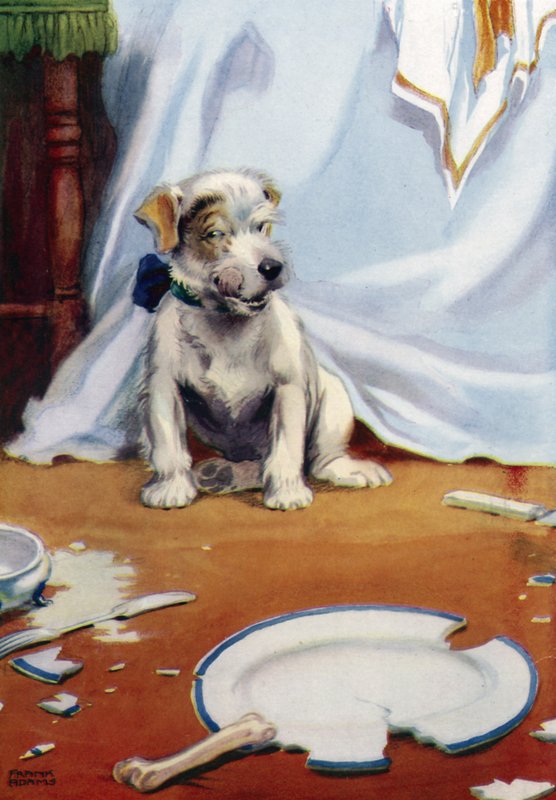 Hund med trasig tallrik av Frank Adams