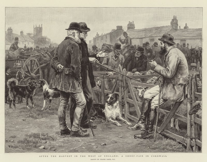 Efter skörden i västra England, en fårmarknad i Cornwall av Frank Dadd