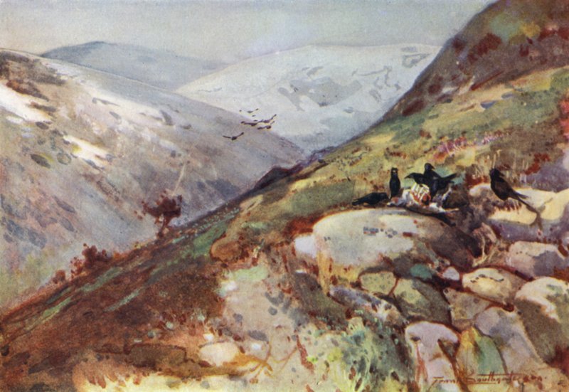 Nära Kielder (färg litho) av Frank Southgate