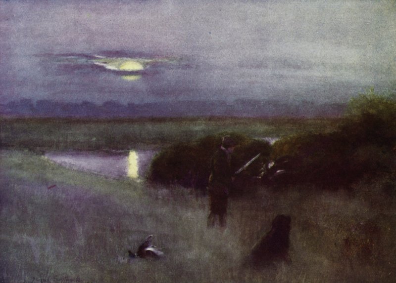 Norfolk Broads: Moonrise, at Flight (färg litho) av Frank Southgate