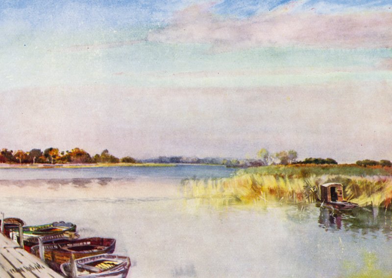 Norfolk Broads: Ormesby Broad, Autumn (color litho) av Frank Southgate