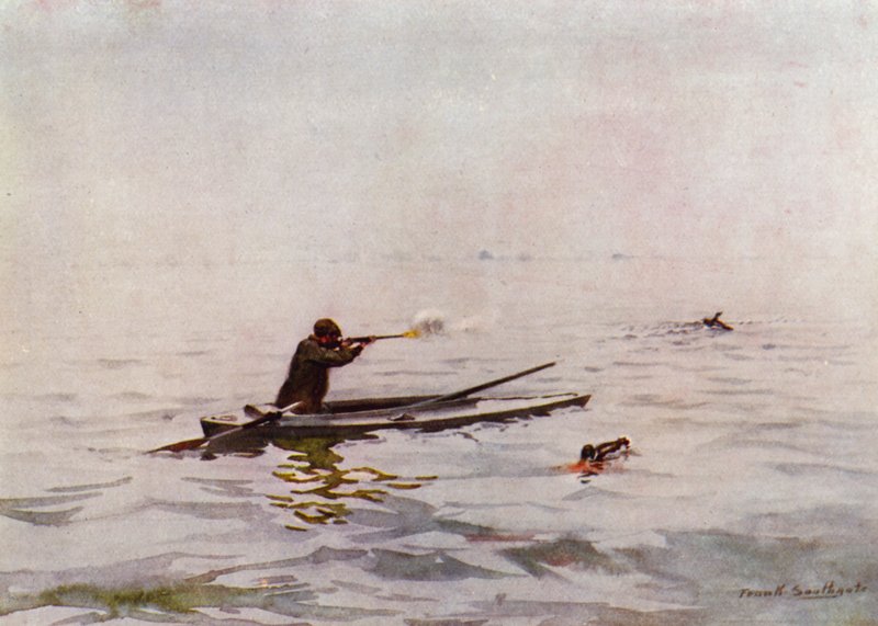 Norfolk Broads: Punt-Gunning on Breydon (litho i färg) av Frank Southgate