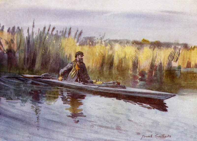 Norfolk Broads: "Scientific" spots Fowl (färg litho) av Frank Southgate