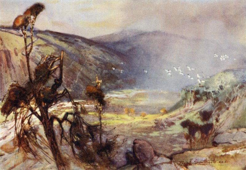 Storm in the Cheviots (färg litho) av Frank Southgate