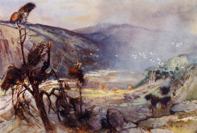 Storm in the Cheviots (färg litho) av Frank Southgate