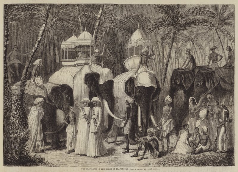 The Elephants of the Rajah of Travancore  av Frank Vizetelly