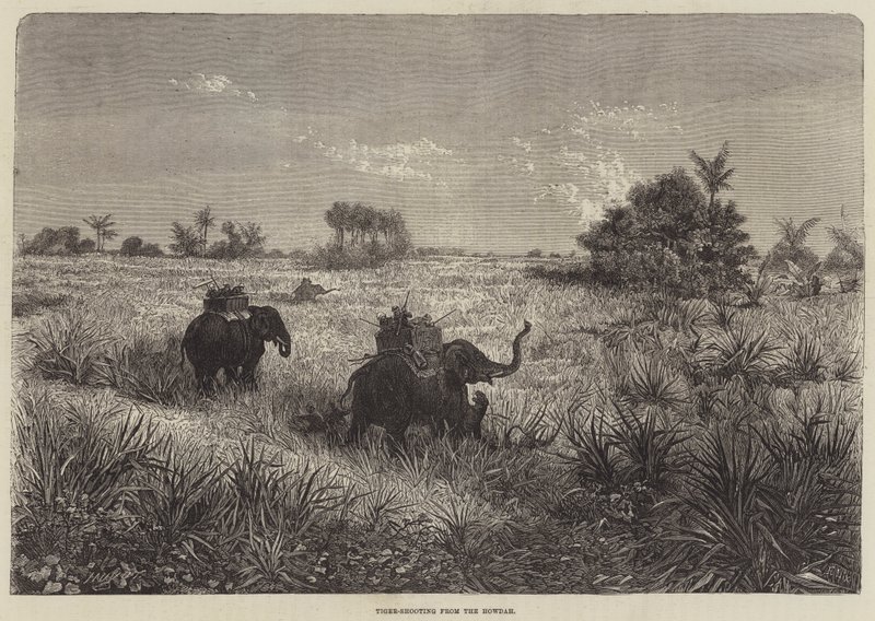 Indien och prinsen av Wales, tigerskytte från Howdah av Frederic Theodore Lix