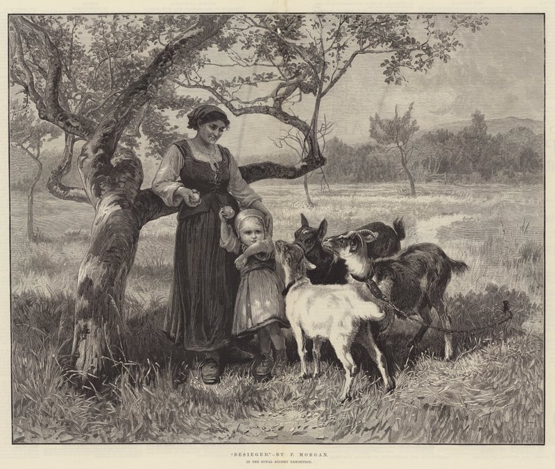 Belägrad av Frederick Morgan