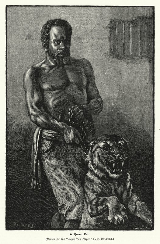 A Queer Pet (gravyr) av Frederick (after) Calvert