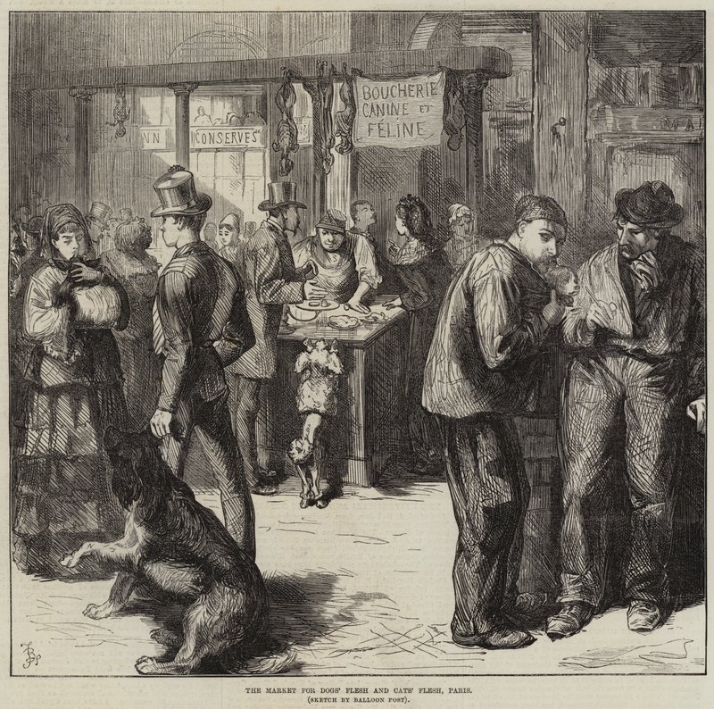 Marknaden för hundkött och kattkött, Paris av Frederick Barnard