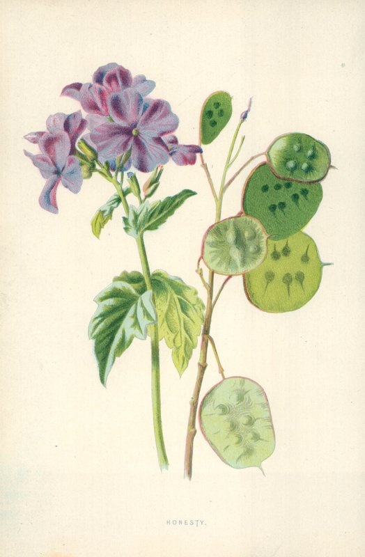 Ärlighet av Frederick Edward Hulme
