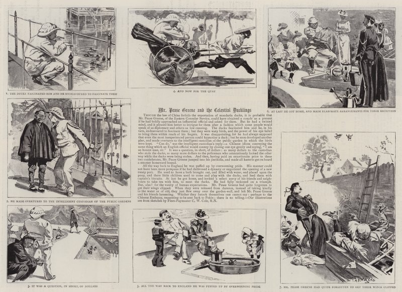 Mr Pease Greene and the Celestial Ducklings (gravyr) av Frederick Henry Townsend
