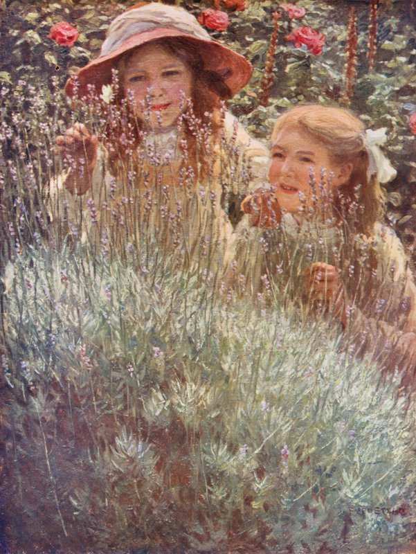 Lavendelbusken (färglitografi) av Frederick Stead