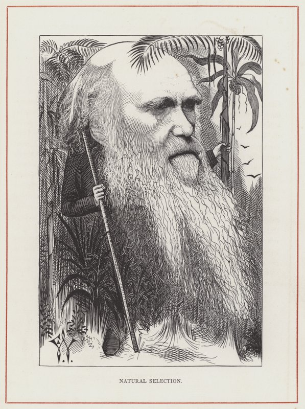 Charles Darwin, Naturligt urval av Frederick Waddy