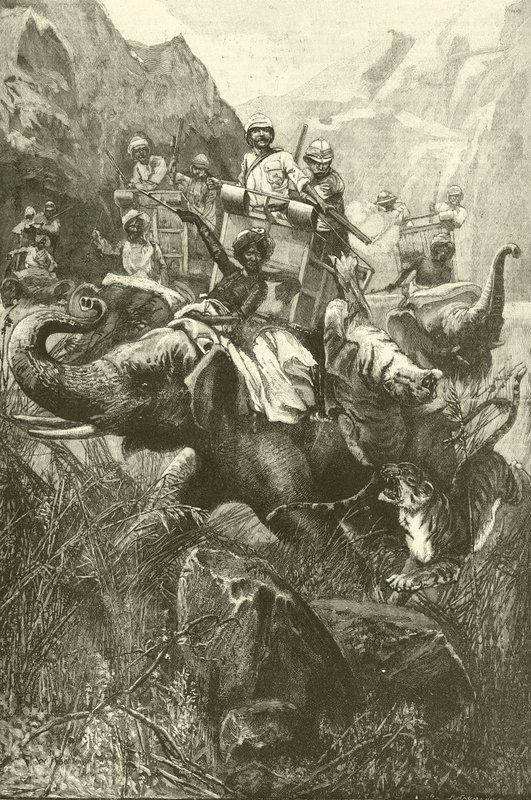 Tigerjakt i Indien (gravyr) av Frederick William Burton