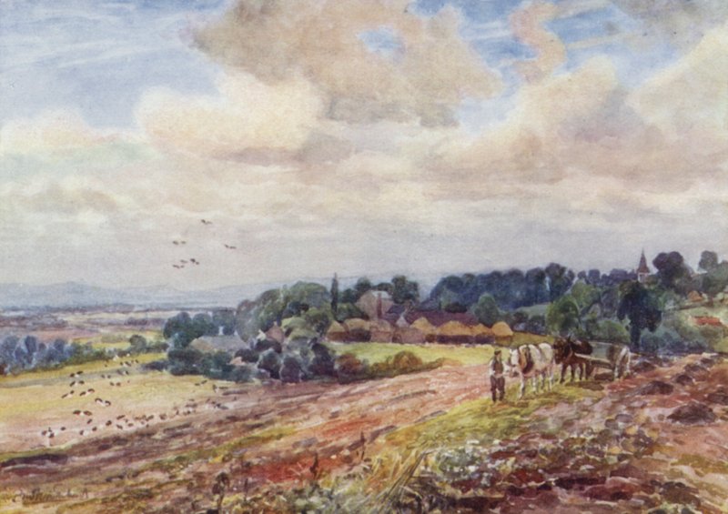 Hungriga Grafton av Frederick William Newton Whitehead