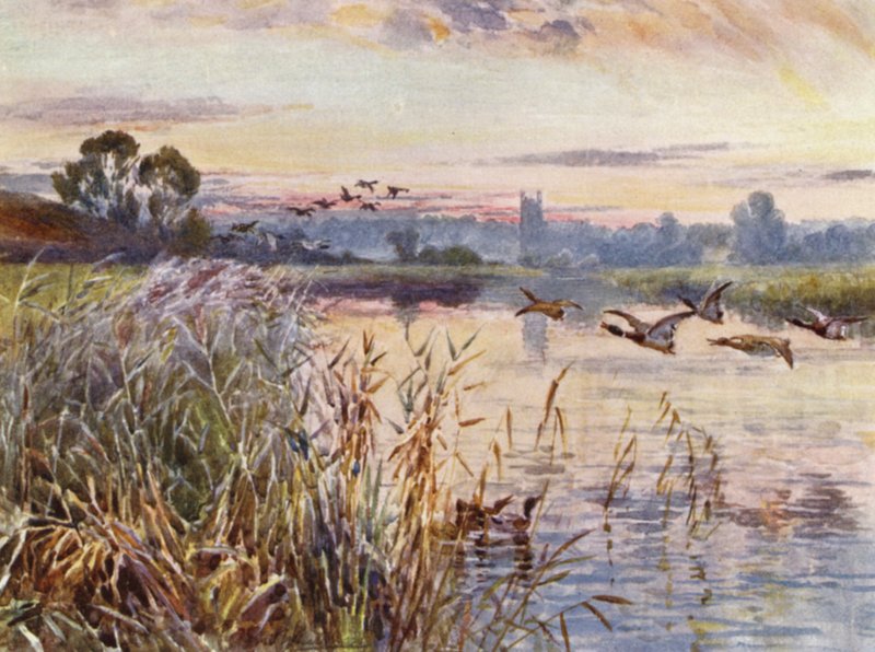 Salford Priors av Frederick William Newton Whitehead
