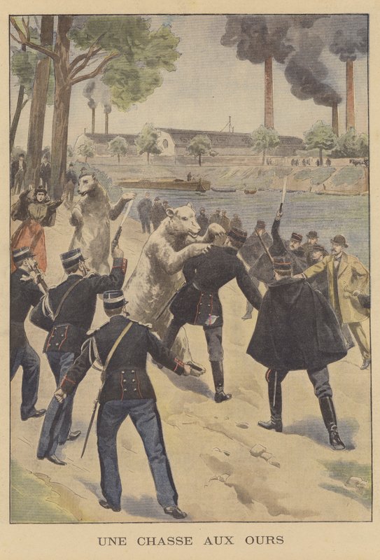 En björnjakt i Paris av French School
