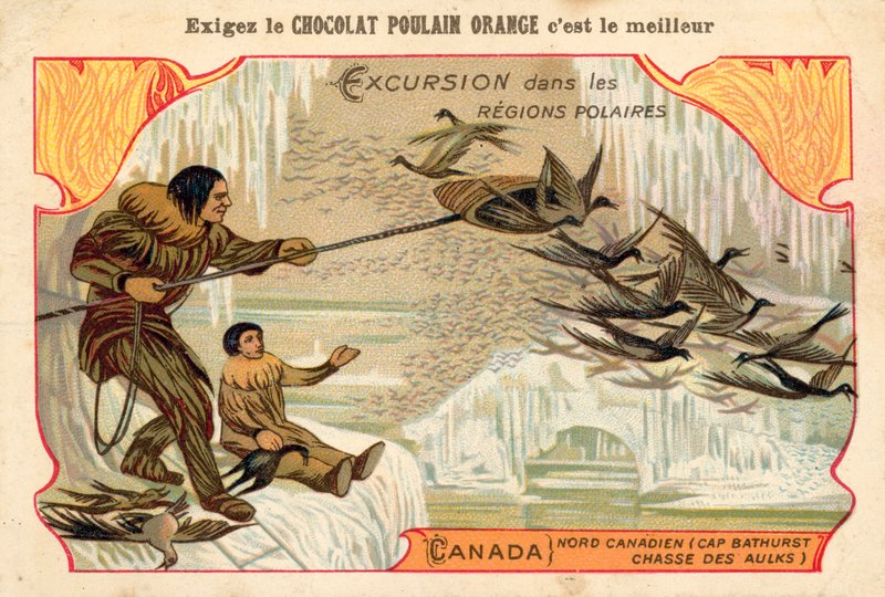 Jaktfåglar, Cape Bathurst, norra Kanada av French School