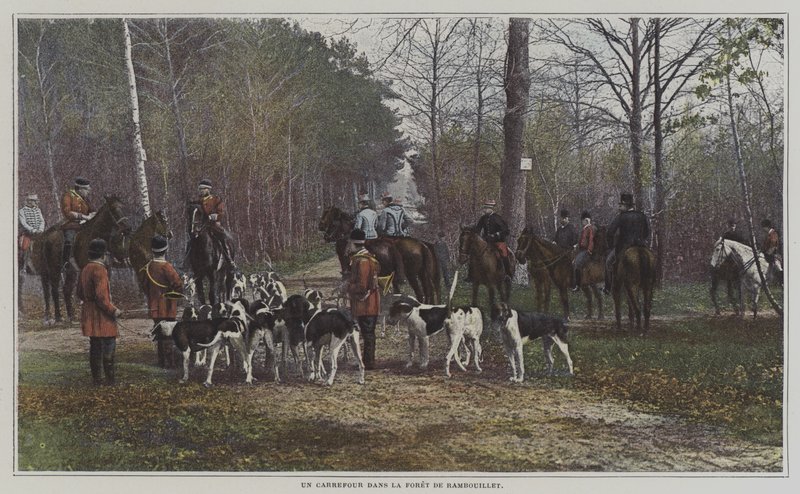 Ett vägskäl i Foret de Rambouillet, Frankrike (färgfoto) av French Photographer