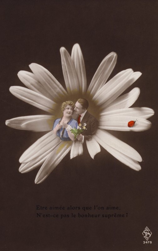 Ett ungt par i mitten av en blomma med nyckelpiga (tonat fotocollage) av French Photographer