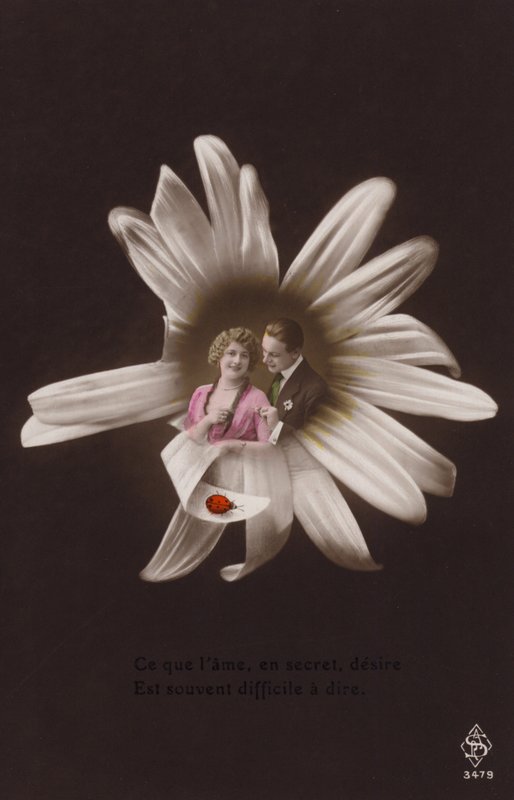 Ett ungt par i mitten av en blomma med nyckelpiga (tonat fotocollage) av French Photographer