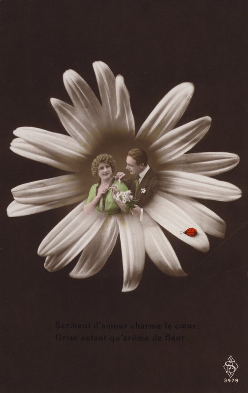 Ett ungt par i mitten av en blomma med nyckelpiga (tonat fotocollage) av French Photographer