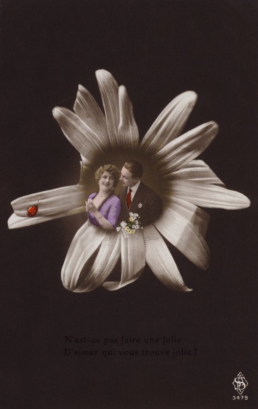 Ett ungt par i mitten av en blomma med nyckelpiga (tonat fotocollage) av French Photographer