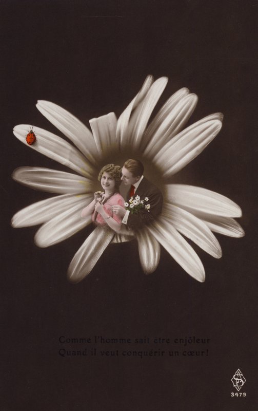 Ett ungt par i mitten av en blomma med nyckelpiga (tonat fotocollage) av French Photographer