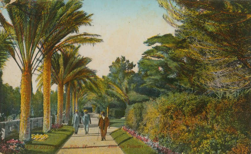 Palms gränd, trädgårdarna i Villa Eilenroc, Cap dAntibes, Frankrike. Vykort skickat 1913 av French Photographer