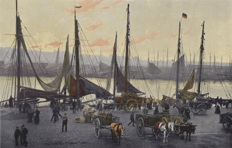 Boulogne-sur-Mer, Förberedelser för sillfiske av French Photographer