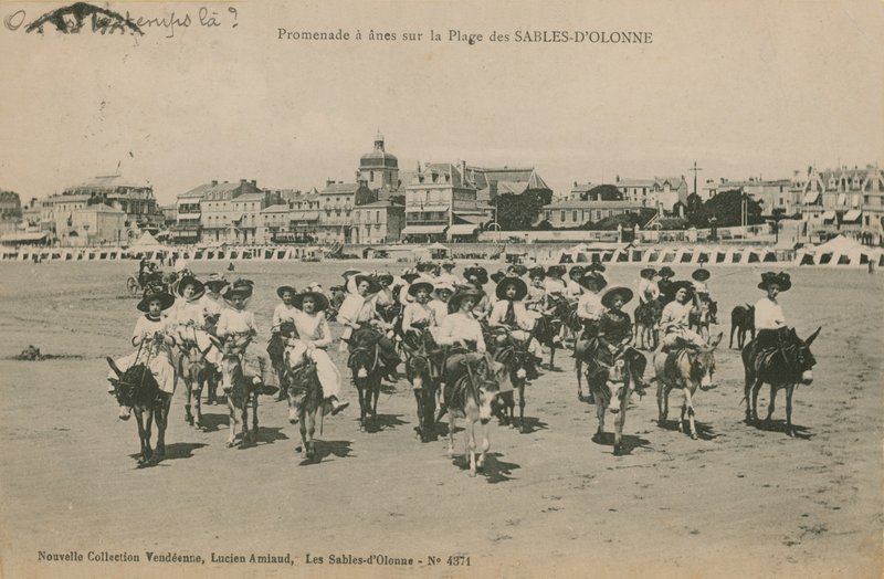 Åsnor på stranden vid Les Sables-dOlonne i västra Frankrike. Vykort skickat 1913. av French Photographer