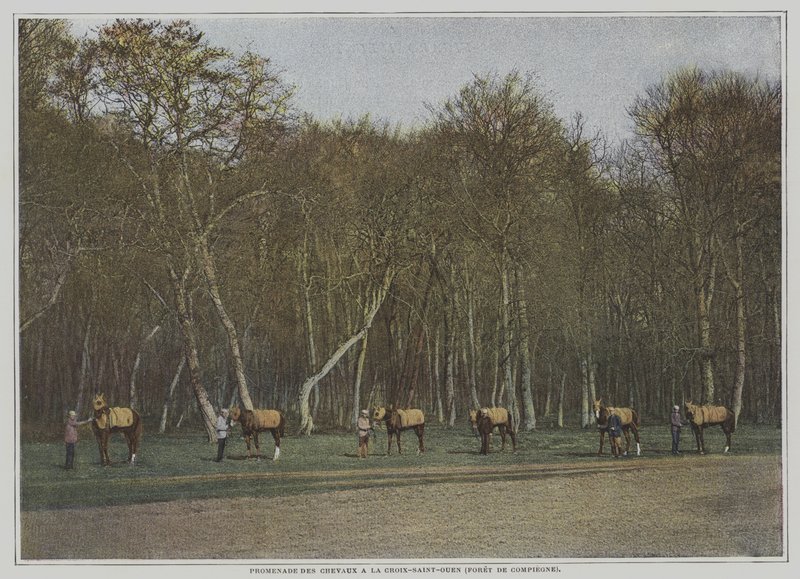 Tränar kapplöpningshästar på La Croix-Saint-Ouen i Foret de Compiegne, Frankrike (färgfoto) av French Photographer