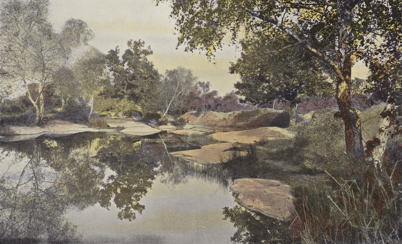 Fontainebleau, Skog, Mare de Franchard av French Photographer