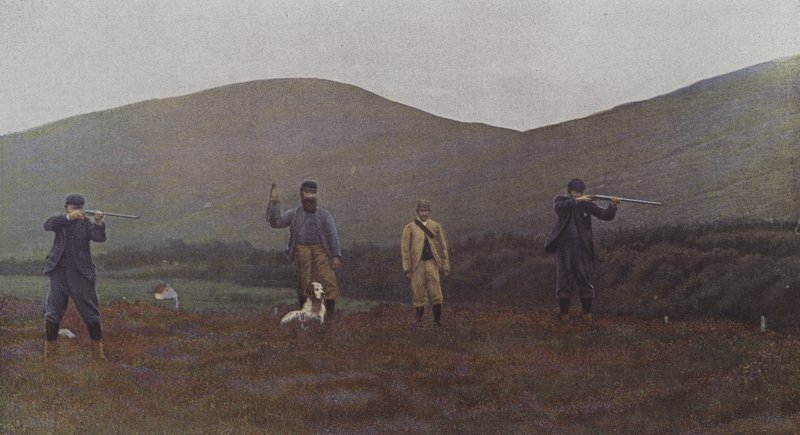 Ripeskytte i Skottland (färgfoto) av French Photographer
