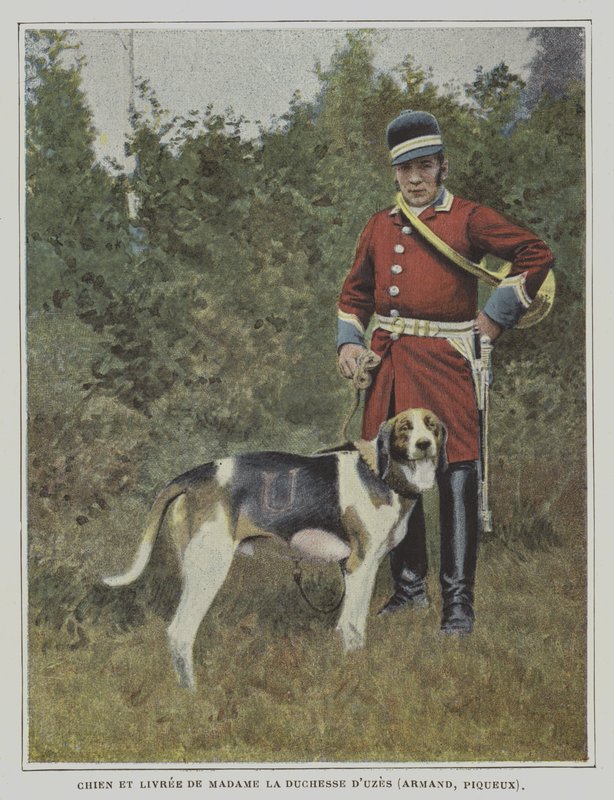 Hund och jägare i färgen på jakten på hertiginnan av Uzes, Frankrike (färgfoto) av French Photographer