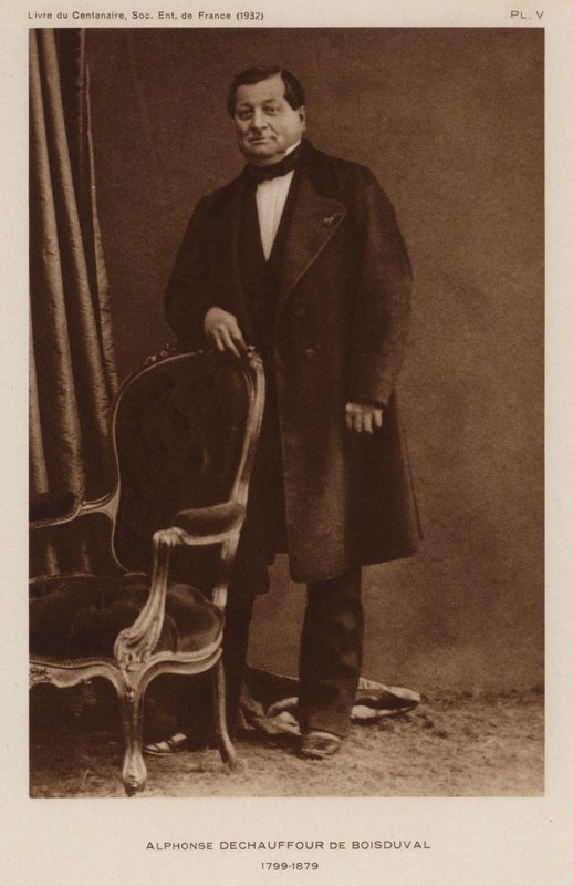 Jean Baptiste Boisduval, fransk lepidopterist och botaniker (s/v foto) av French Photographer