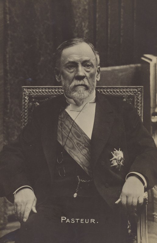 Louis Pasteur (1822-1895), fransk kemist och mikrobiolog av French Photographer