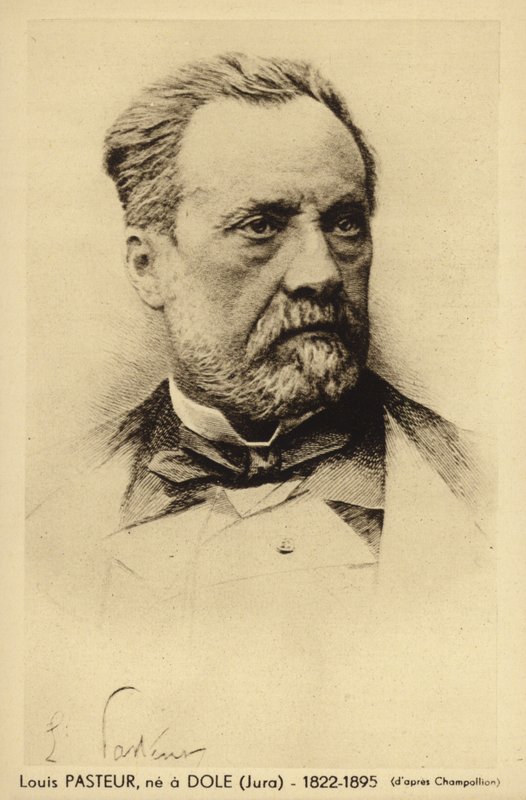 Louis Pasteur (1822-1895), fransk kemist och mikrobiolog av French Photographer