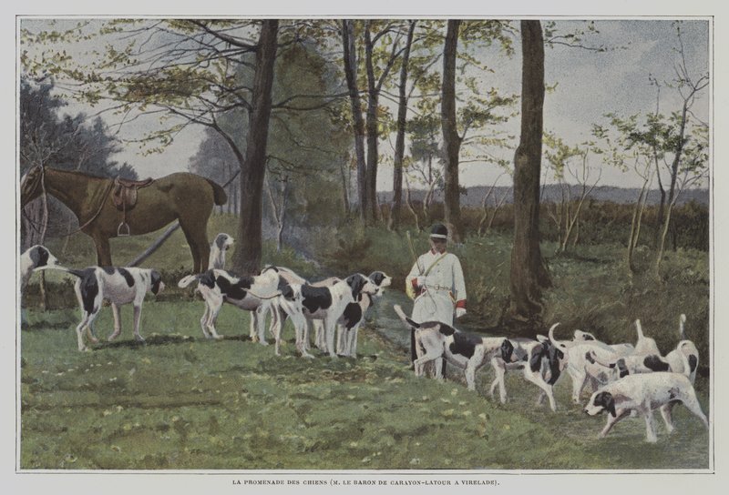 Paket med hundar av Baron de Carayon-Latour i Virelade, Frankrike (färgfoto) av French Photographer