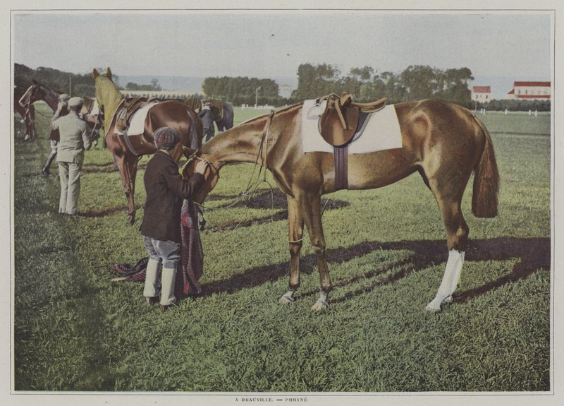 Tävlingshästar i Deauville, Frankrike (färgfoto) av French Photographer