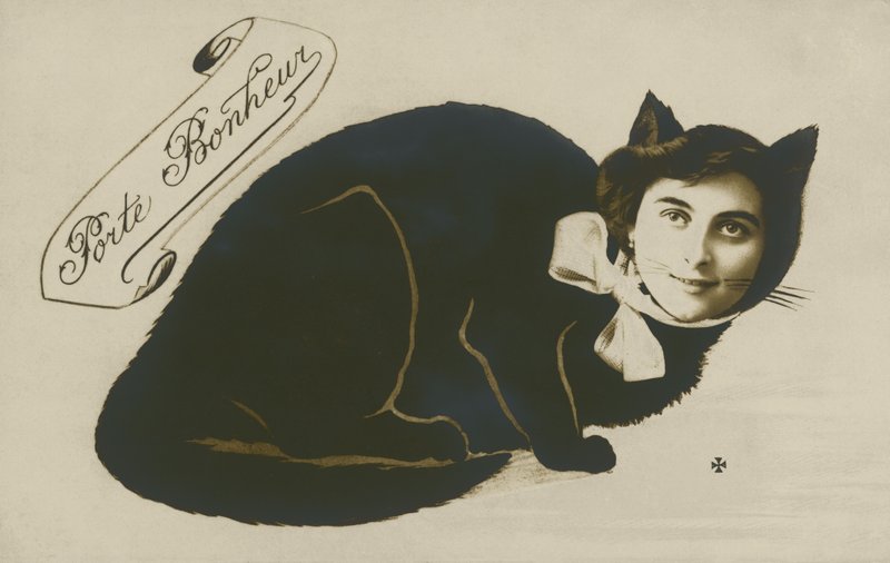 Surrealistisk katt, med vackert flickansikte (s/v foto) av French Photographer