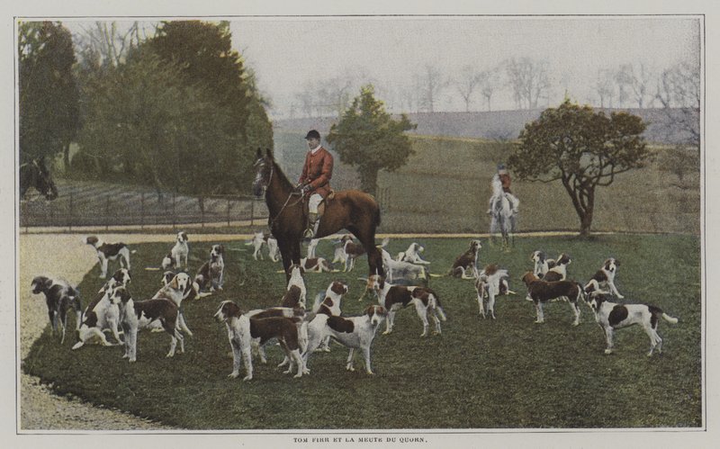 Tom Firr and the hounds of the Quorn Hunt, Leicestershire (färgfoto) av French Photographer