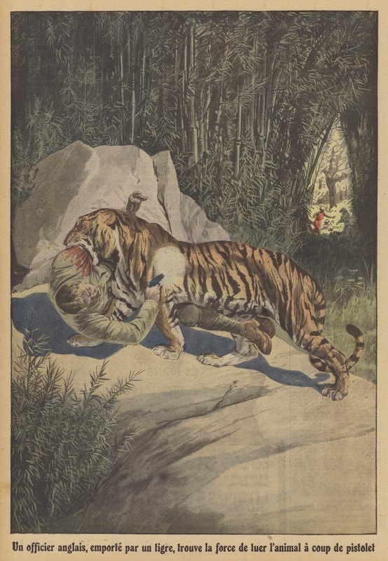 En brittisk officer, buren av en tiger, finner styrkan att döda djuret med sin pistol (färg litho) av French School